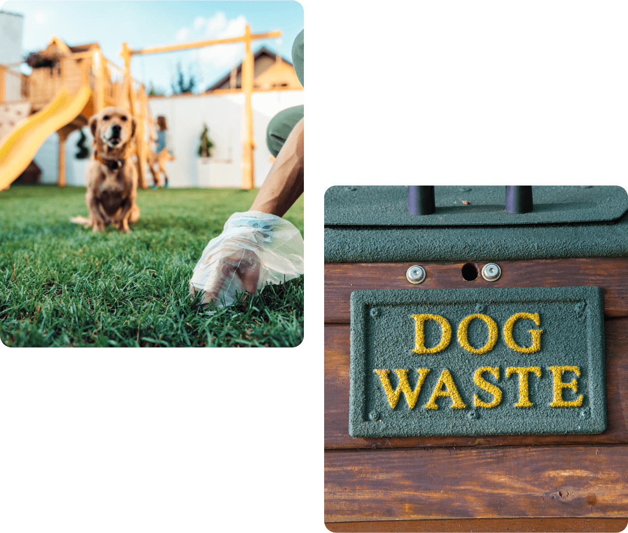 A dog is standing in the grass next to a sign.