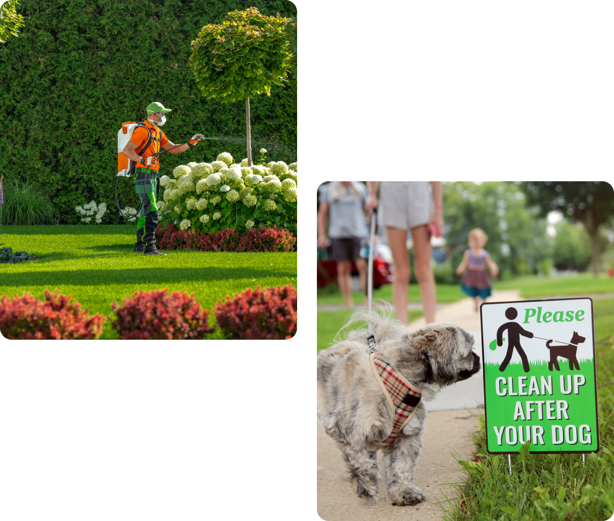 A man walking his dog in the grass and a sign that says clean up after your dog.