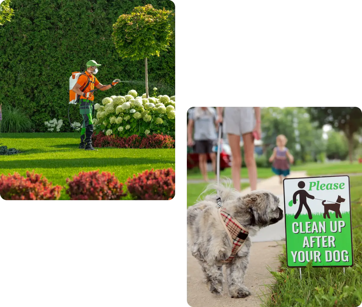 A man walking his dog in the grass and a sign that says clean up after your dog.